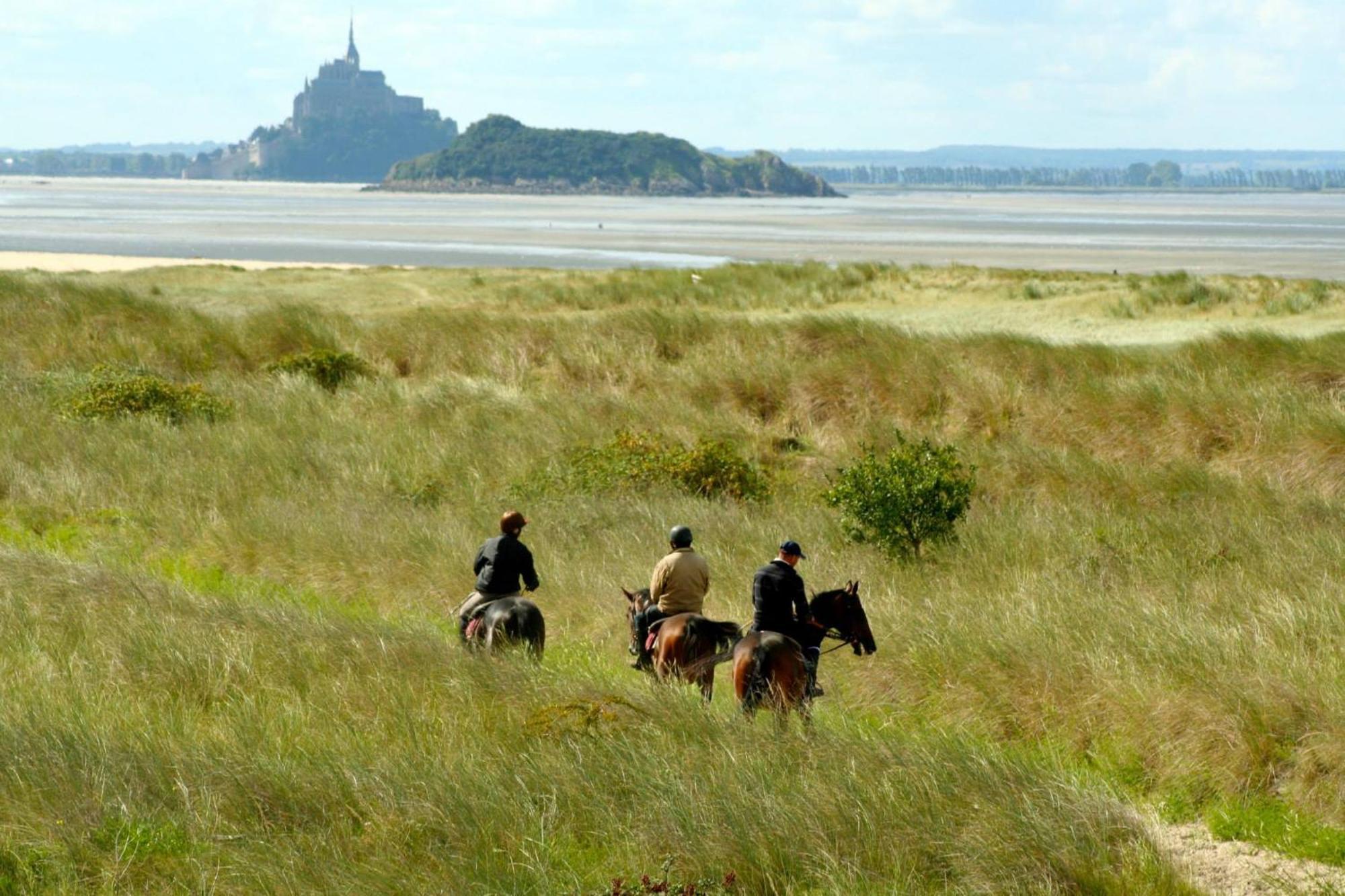 Decouverte D'Un Haras Proche Du Mont St Michel Hambye Exterior photo